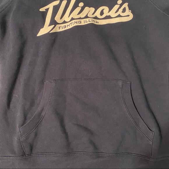 ❗️SALE University of Illinois Champion Hoodie - Picture 3 of 5